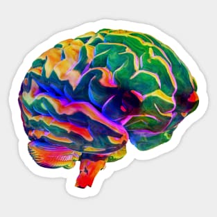 Colorful Glass Human Brain Sticker